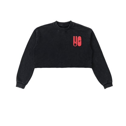 Snow Washed Raw Edge Cropped Sweatshirt